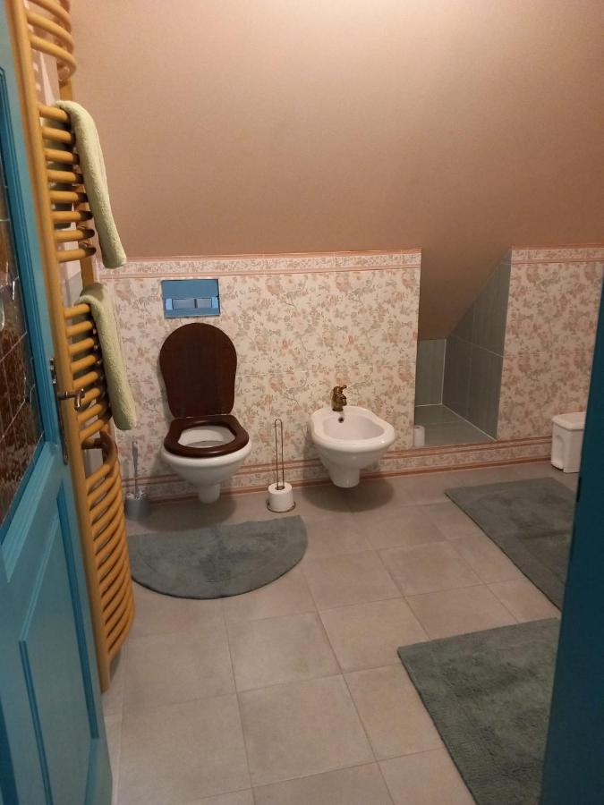 Roof Apartment Ztracena Оломоуц Экстерьер фото